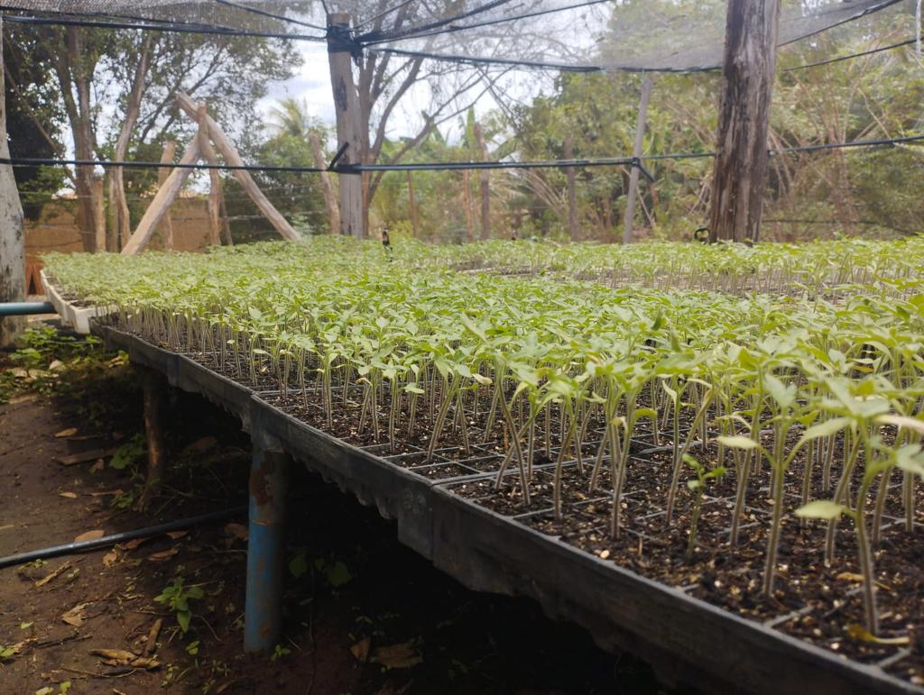 PHOTO-2023-11-27-13-04-18 2.jpg