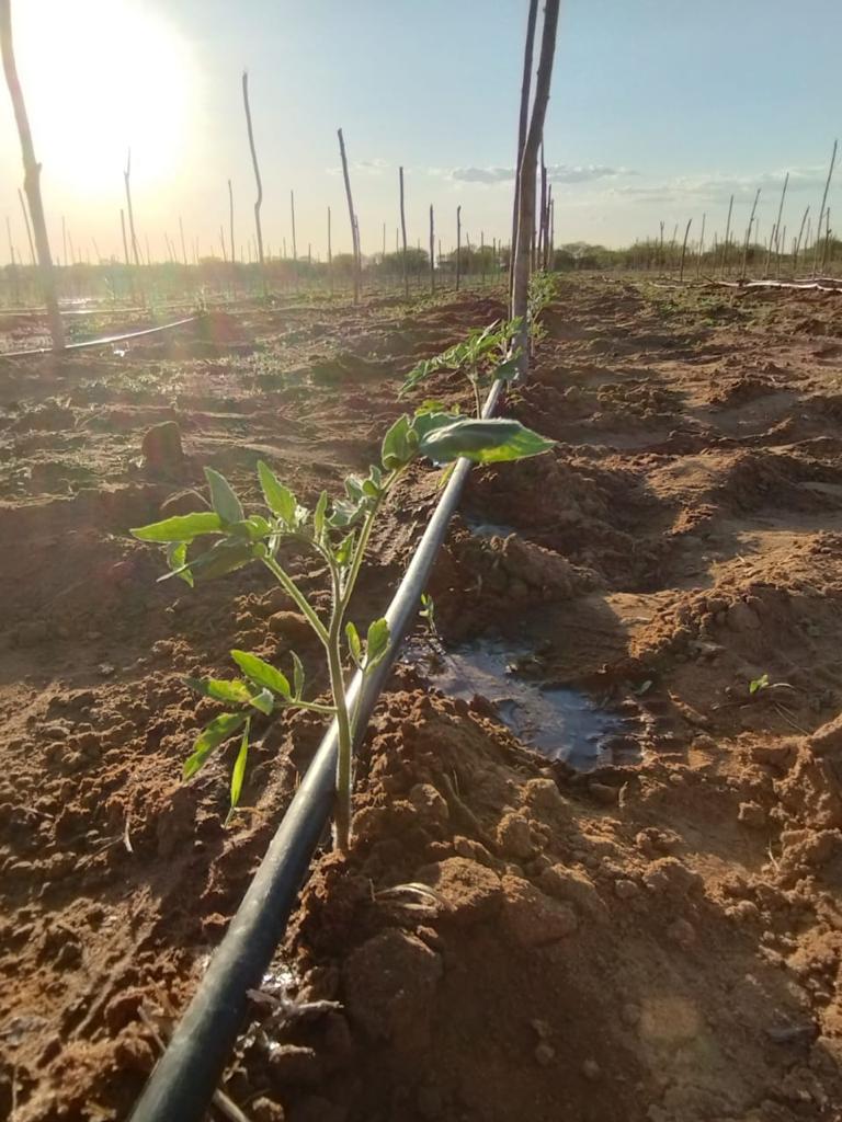 PHOTO-2023-11-27-13-04-54 3.jpg