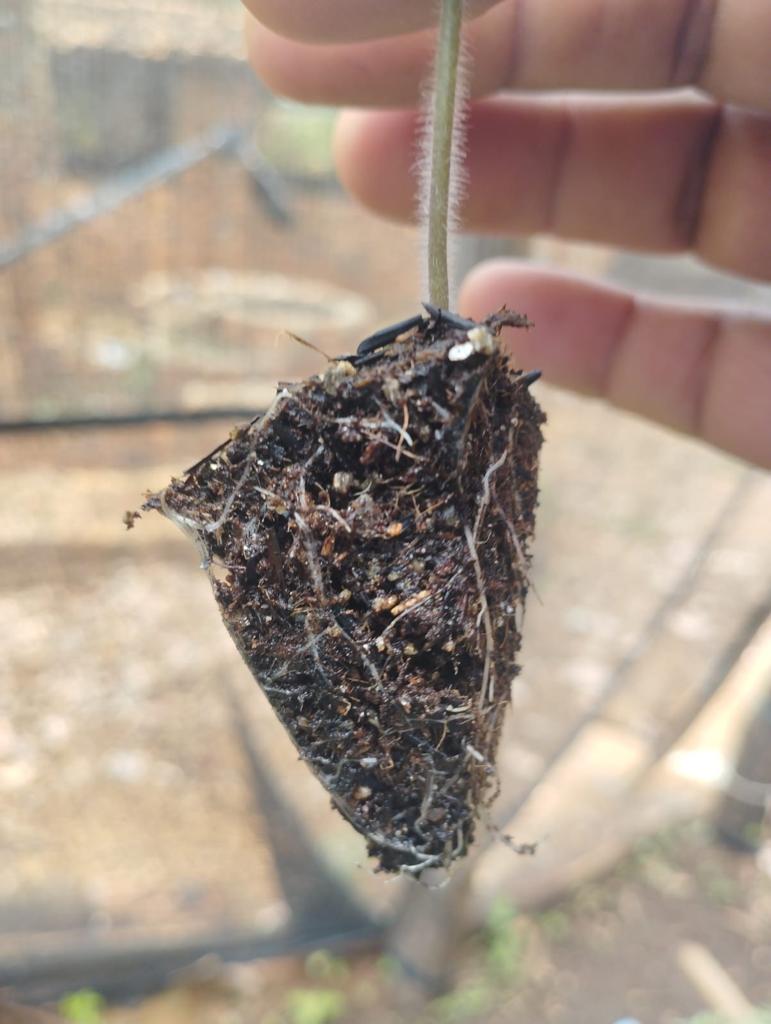 PHOTO-2023-11-27-13-04-18 3.jpg